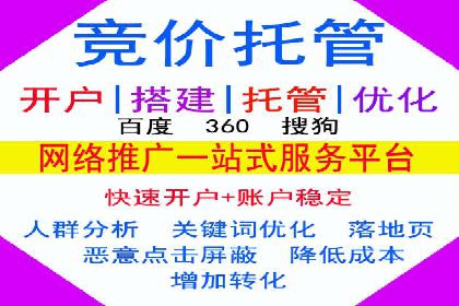 百度搜索推广实战技巧：成功案例启示录